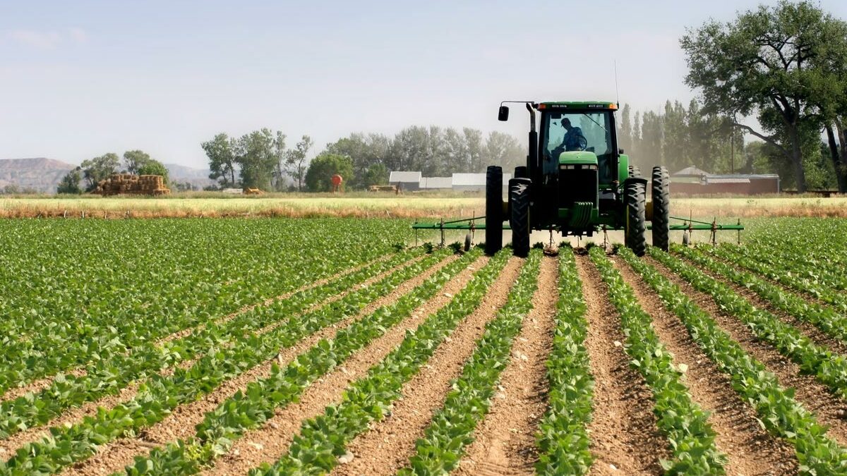 Uzbekistan i Kirgistan zacieśniają współpracę w sferze rolnictwa